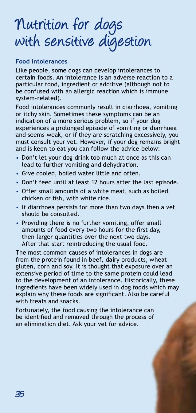Can Dogs Eat Calcium Acetate Can Dogs Eat Calcium Acetate