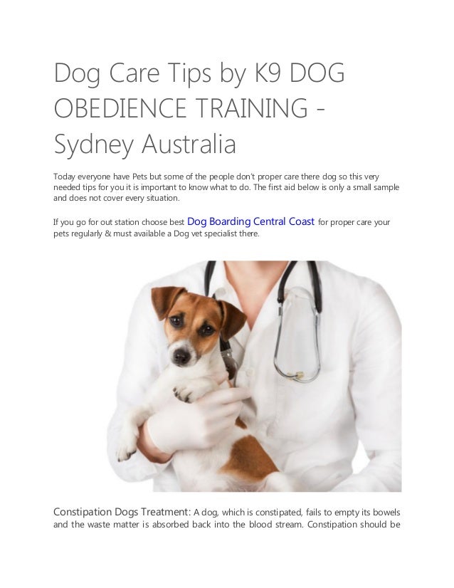 Best Dog Boarding In Sydney Best Dog Boarding In Sydney