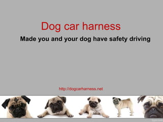 Dog car harness
Made you and your dog have safety driving




            http://dogcarharness.net
 