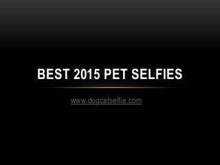 www.dogcatselfie.com
BEST 2015 PET SELFIES
 