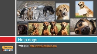 Help dogs
Website : http://www.inkbean.org
 