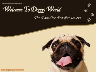 _______________

Welcome To Doggy World
The Paradise For Pet lovers
_______________

www.dogclinicindelhi.com

 