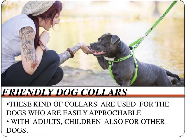 friendly dog collar