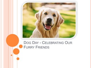 DOG DAY - CELEBRATING OUR
FURRY FRIENDS
 