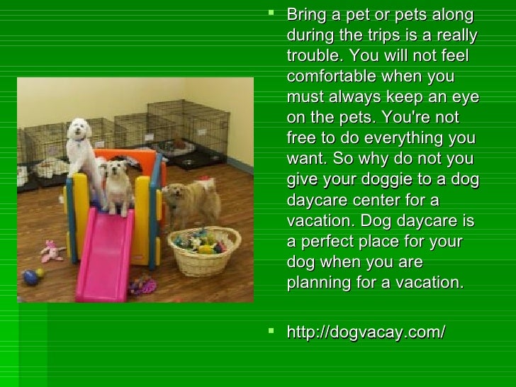 dog daycare for vacation