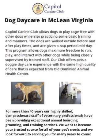 Dog Daycare in McLean Virginia
For more than 40 years our highly skilled,
compassionate staff of veterinary professionals have
been providing exceptional animal boarding,
grooming, and training services. We want to become
your trusted source for all of your pet’s needs and we
look forward to serving you for many years to come!
 
