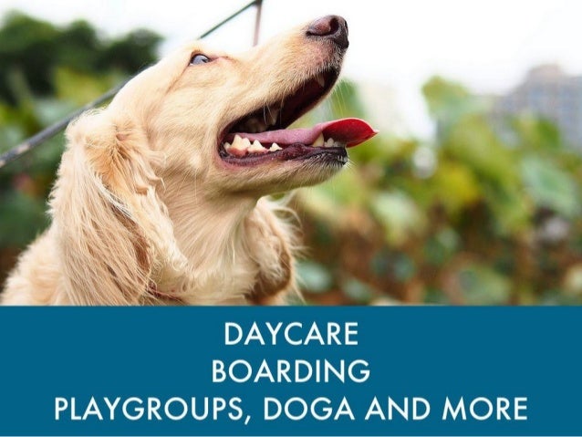 Dog Day Getaway Training Dog Day Getaway Training