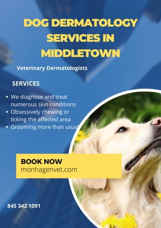 DOG DERMATOLOGY
SERVICES IN
MIDDLETOWN
We diagnose and treat
numerous skin conditions
Obsessively chewing or
licking the affected area
Grooming more than usual
SERVICES
BOOK NOW
monhagenvet.com
845 342 1091
Veterinary Dermatologists
 