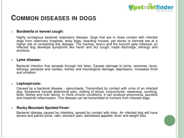 Dog Diseases