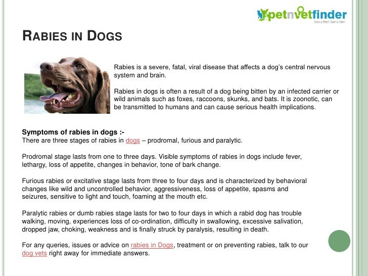 Dog Diseases