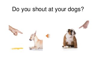 Do you shout at your dogs?
 