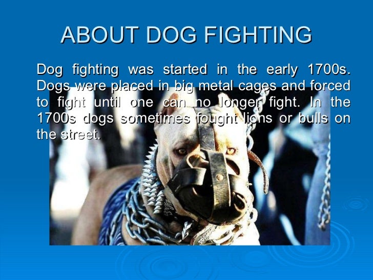 Dog fighting