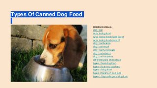 Types Of Canned Dog Food
Related Contents:
dog food
what is dog food
what is dog food made out of
what is dog food made of
dog food brands
dog food recall
dog food homemade
dog food advisor
dog food container
different types of dog food
types of wet dog food
types of canned dog food
types of dog food
types of grains in dog food
types of hypoallergenic dog food
 