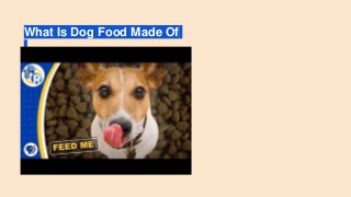 What Is Dog Food Made Of
 