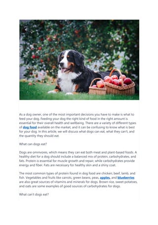 As a dog owner, one of the most important decisions you have to make is what to
feed your dog. Feeding your dog the right kind of food in the right amount is
essential for their overall health and wellbeing. There are a variety of different types
of dog food available on the market, and it can be confusing to know what is best
for your dog. In this article, we will discuss what dogs can eat, what they can't, and
the quantity they should eat.
What can dogs eat?
Dogs are omnivores, which means they can eat both meat and plant-based foods. A
healthy diet for a dog should include a balanced mix of protein, carbohydrates, and
fats. Protein is essential for muscle growth and repair, while carbohydrates provide
energy and fiber. Fats are necessary for healthy skin and a shiny coat.
The most common types of protein found in dog food are chicken, beef, lamb, and
fish. Vegetables and fruits like carrots, green beans, peas, apples, and blueberries
are also great sources of vitamins and minerals for dogs. Brown rice, sweet potatoes,
and oats are some examples of good sources of carbohydrates for dogs.
What can't dogs eat?
 