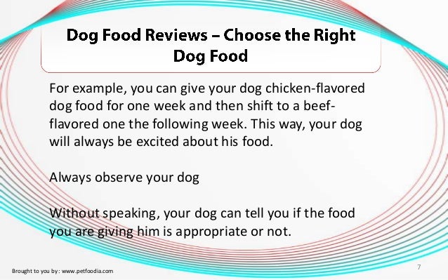 Should You Change Dog Food Flavors Should You Change Dog Food Flavors
