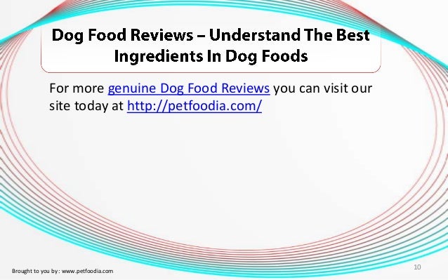 Is Buying Dog Food Online Safe Is Buying Dog Food Online Safe