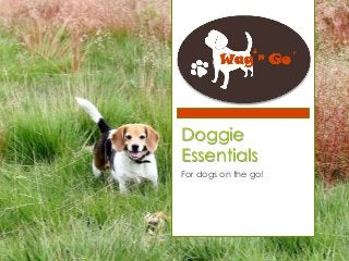 Doggie
Essentials
For dogs on the go!

 