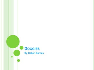 Doggies By Callan Barnes 