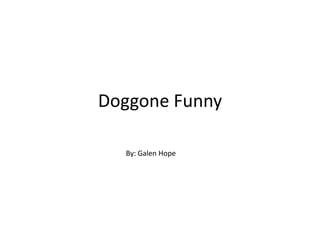 Doggone Funny
By: Galen Hope
 