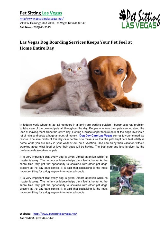Dog grooming boarding las vegas