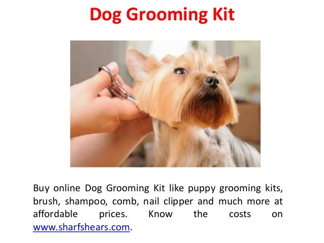 yorkie grooming kit