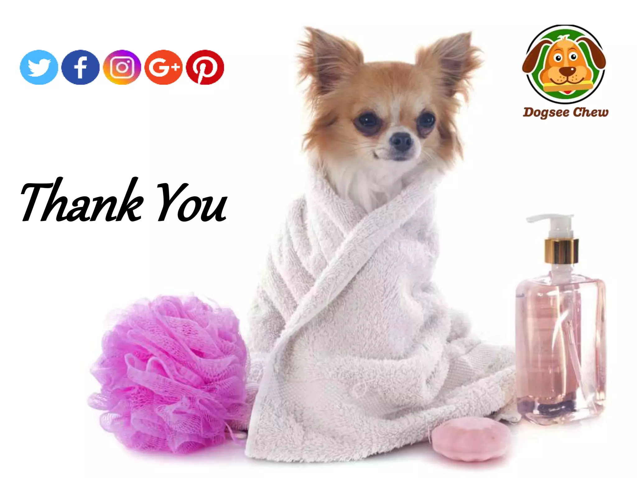 Image showcasing Easy Dog Grooming Tips - Step By Step Instructions | PPTX