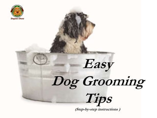Easy
Dog Grooming
Tips
(Step-by-step instructions )
 
