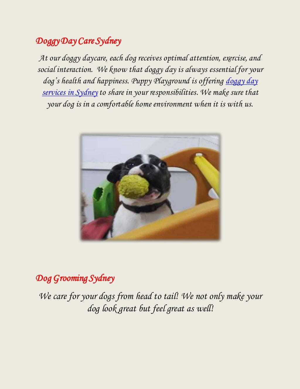 Doggy Day Care Sydney