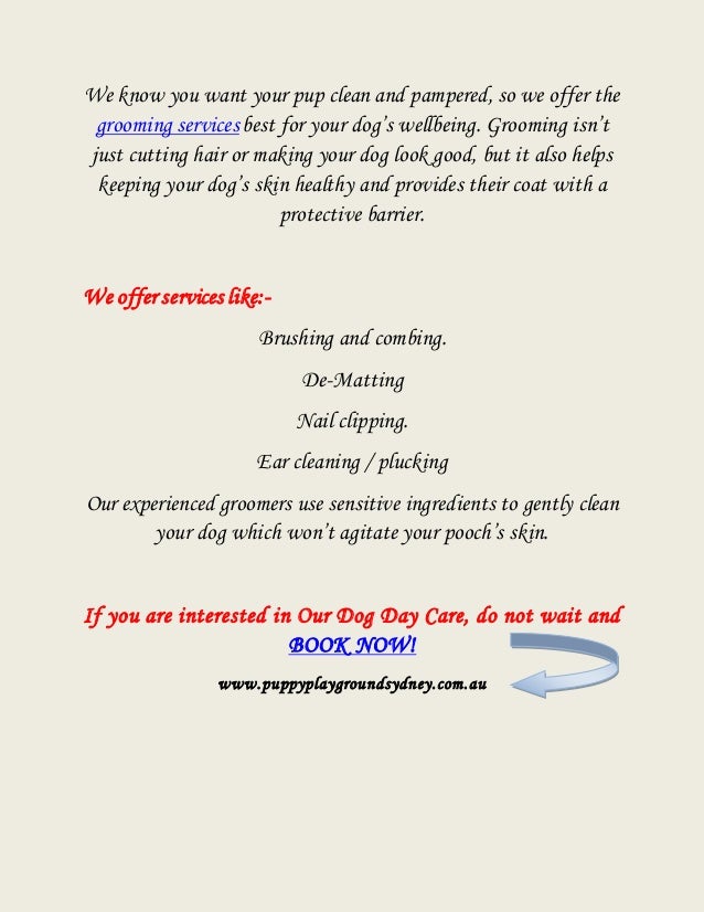 Doggy Day Care Sydney