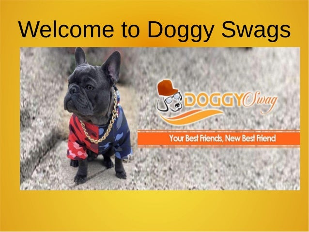 designer dog leashes and collars