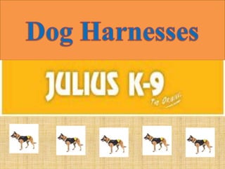 Dog harnesses 