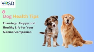 Dog Health Tips
Ensuring a Happy and
Healthy Life for Your
Canine Companion
 