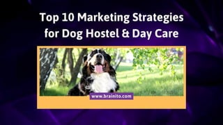 Top 10 Marketing Strategies
for Dog Hostel & Day Care
www.brainito.com
 