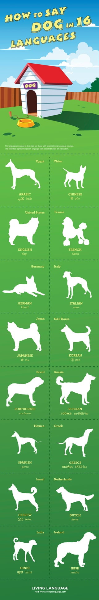 How to Say Dog in Multiple Languages