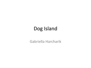 Dog Island

Gabriella Harcharik
 