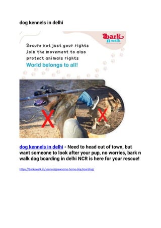 dog kennels in delhi
dog kennels in delhi - Need to head out of town, but
want someone to look after your pup, no worries, bark n
walk dog boarding in delhi NCR is here for your rescue!
https://barknwalk.in/services/pawsome-home-dog-boarding/
 