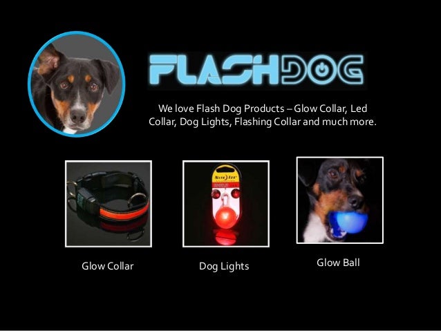 Glow In The Dark Dog Collar Nz Glow In The Dark Dog Collar Nz