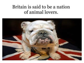 Britain is said to be a nation of animal lovers. 