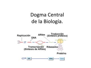 Dogma Central
de la Biología.
 