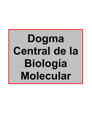 Dogma
Central de la
Biología
Molecular
 
