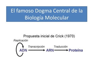 El famoso Dogma Central de la
Biología Molecular
 