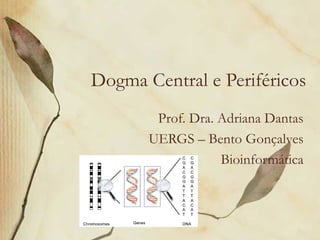 Dogma Central e Periféricos
        Prof. Dra. Adriana Dantas
       UERGS – Bento Gonçalves
                   Bioinformá...