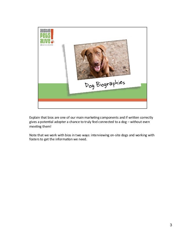 Dog Marketing