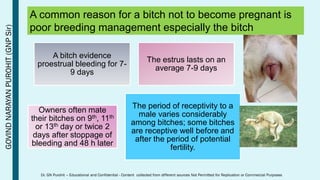 Dog mating for optimum pregnancy | PDF
