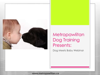 Metropawlitan
Dog Training
Presents:
Dog Meets Baby Webinar
www.metropawlitan.ca
 