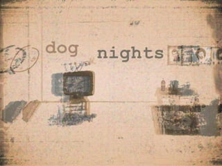 Dog Nights