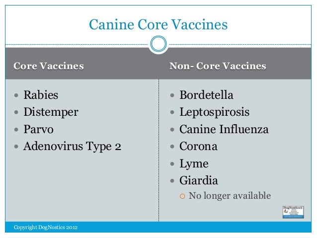 non core vaccines for dogs