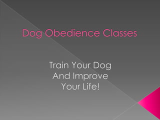 DogObedienceClasses Train YourDog And ImproveYourLife! 