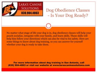 Dog Obedience Classes
- Is Your Dog Ready?
For more information about dog training in San Antonio, call
(830) 904-4863 or visit our website at www.larascaninesolutions.com
No matter what stage of life your dog is in, dog obedience classes will help your
pooch socialize, integrate with your family, and learn skills. Those skills will
help him follow your directions which can also be vital to his safety. Here are
some things to know about dog training, so you can answer for yourself
whether your dog is ready to take them.
 